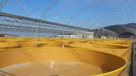 드림아쿠아포닉스