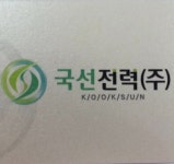 국선전력