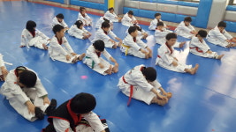 국가대표태권도