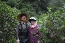 찬물샘아로니아