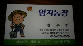 엄지농장