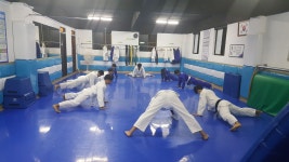 한체대수진유도관