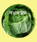 해밀영농조합법인
