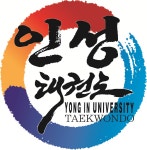 용인대인성태권도