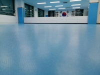 청룡합기도