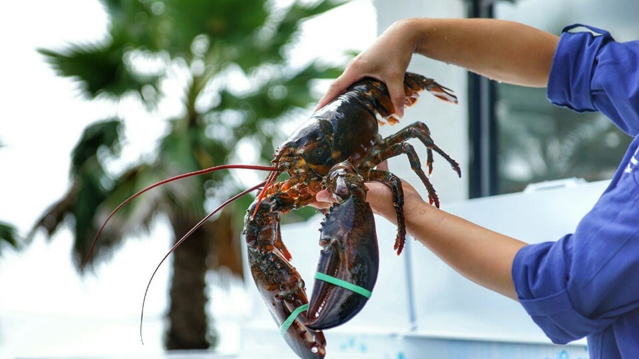 랍씨네 성산본점