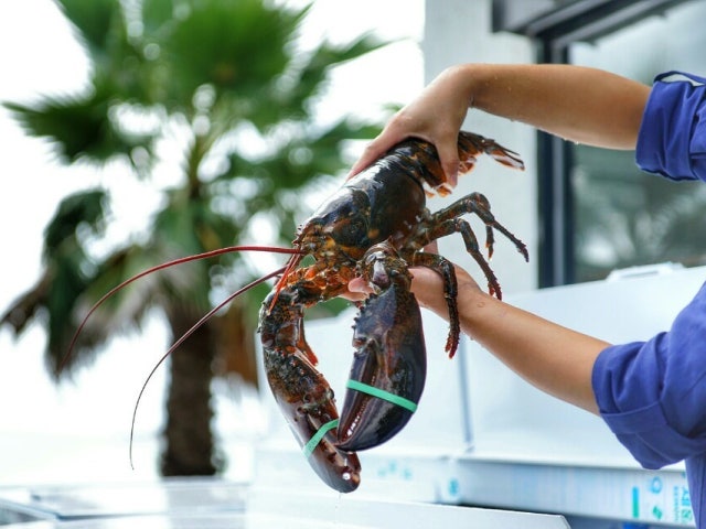 랍씨네 성산본점