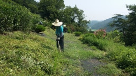황매산애푸드