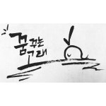 제주꿈꾸는고래