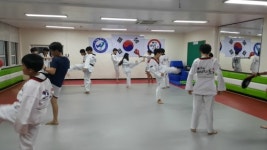 진스태권도&진스키즈스포츠