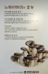 등촌샤브칼국수 역촌점
