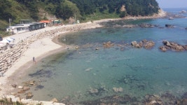 테이스티오브마린코리아