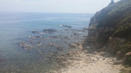 테이스티오브마린코리아