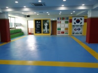 용인대국가대표태권도장