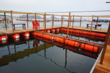 대원바다좌대낚시