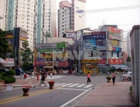 금터공인중개사