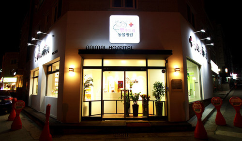 행복드림동물병원