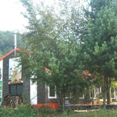 소망교회