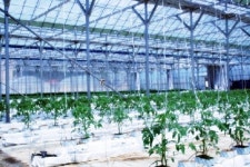 산골농장 조옥현