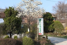 장수촌