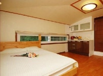 물안개피는들꽃나루