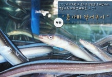 돗가비장어구이