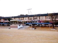 금성초등학교