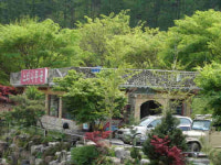 느티나무골