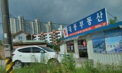 대동공인중개사사무소