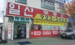일산부동산중개사무소