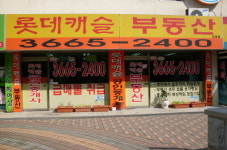 롯데캐슬공인중개사사무소