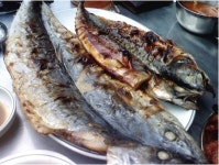 제주회수산