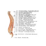 원불교역전보화당한의원