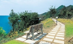 울릉대아리조트