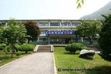 대화중학교