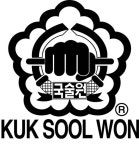 국술원