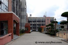 무선초등학교