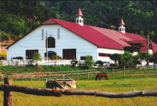 웨스턴스프링스