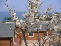 달님펜션
