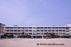 산호초등학교