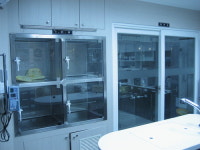 위더스동물병원