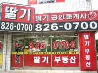 딸기공인중개사