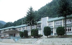 장성초등학교