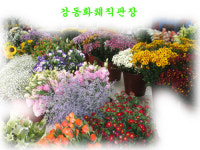 강동화훼직판장