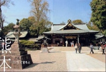 동경결혼정보