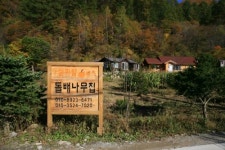 설피밭돌배나무집