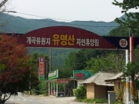 유명산휴펜션