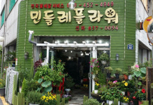 민들레꽃집