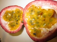 돌고래부동산공인중개사사무소