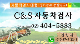 자동차검사
